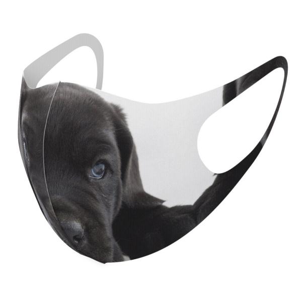 }XN 2Zbg fUC 􂦂 |GXe Y fB[X j  ǂ WjA c Aw   t`uhbN _bNXtg 000127