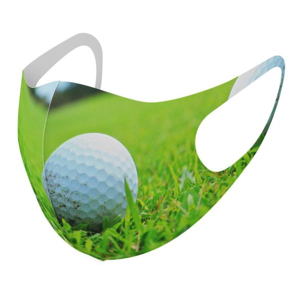 }XN 2Zbg fUC 􂦂 |GXe Y fB[X j  ǂ WjA c Aw St@Ő@X|[c 000255