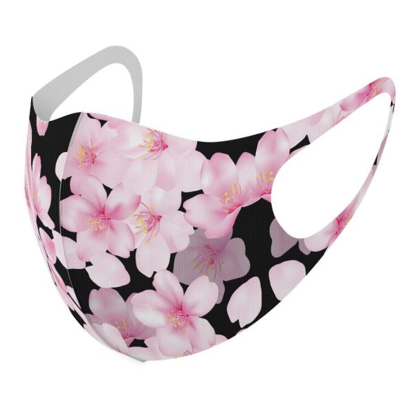 }XN 2Zbg fUC 􂦂 |GXe Y fB[X j  ǂ WjA c Aw @ԁ@ 000438