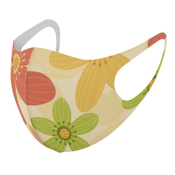 }XN 2Zbg fUC 􂦂 |GXe Y fB[X j  ǂ WjA c Aw ԁ@sN 000685