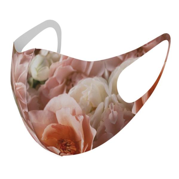 }XN 2Zbg fUC 􂦂 |GXe Y fB[X j  ǂ WjA c Aw o@ԁ@ԕ 000851