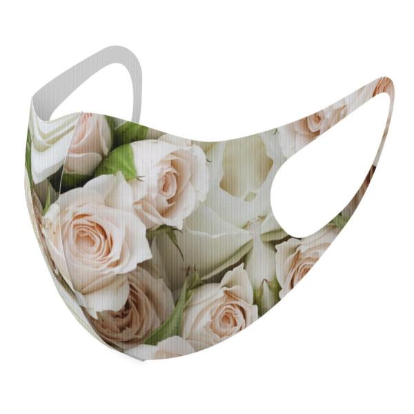 }XN 2Zbg fUC 􂦂 |GXe Y fB[X j  ǂ WjA c Aw o@ԕ 000885