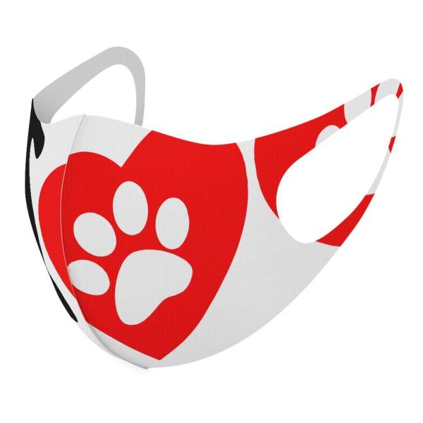 }XN 2Zbg fUC 􂦂 |GXe Y fB[X j  ǂ WjA c Aw @n[g 000921