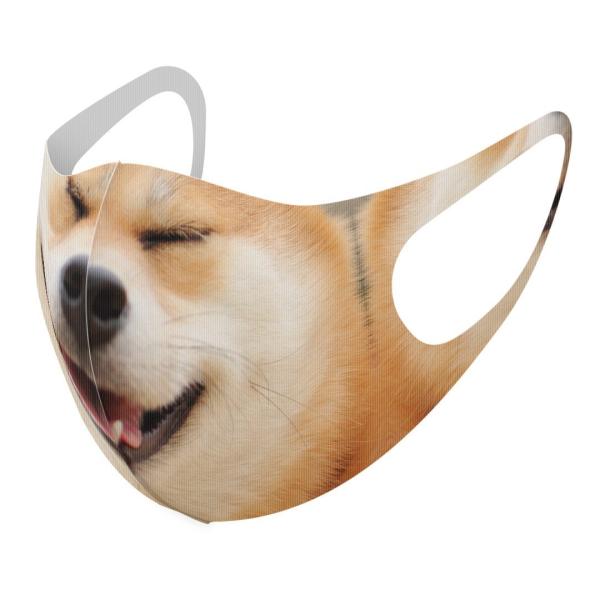 }XN 2Zbg fUC 􂦂 |GXe Y fB[X j  ǂ WjA c Aw @Č 000926