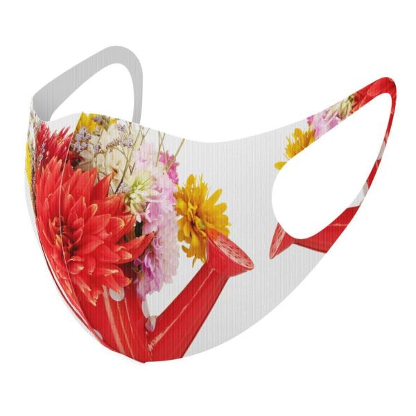 }XN 2Zbg fUC 􂦂 |GXe Y fB[X j  ǂ WjA c Aw ԁ@傤 000954