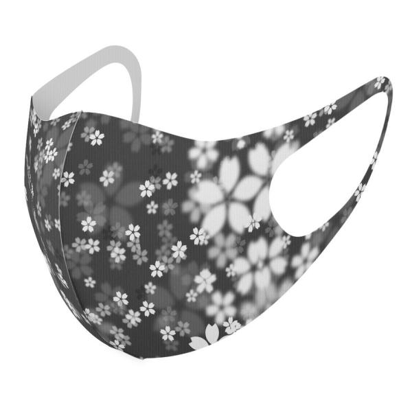 }XN 2Zbg fUC 􂦂 |GXe Y fB[X j  ǂ WjA c Aw @mN 000992