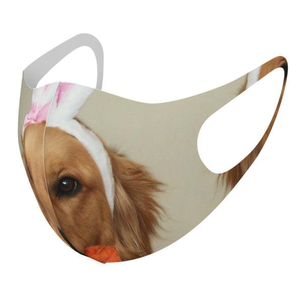 }XN 2Zbg fUC 􂦂 |GXe Y fB[X j  ǂ WjA c Aw @S[f@ 001111