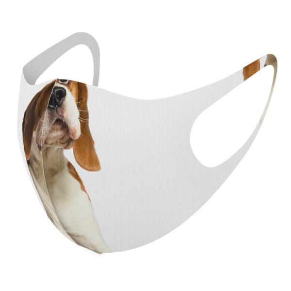 }XN 2Zbg fUC 􂦂 |GXe Y fB[X j  ǂ WjA c Aw @r[O 001147