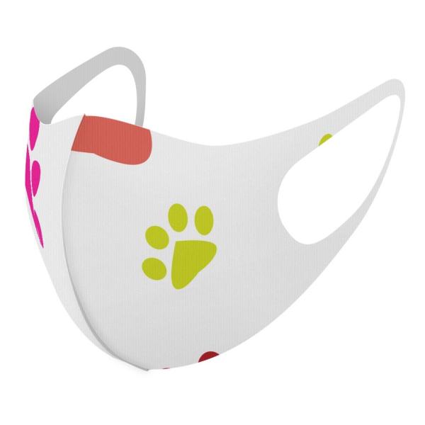 }XN 2Zbg fUC 􂦂 |GXe Y fB[X j  ǂ WjA c Aw Ձ@Jt@ 001205