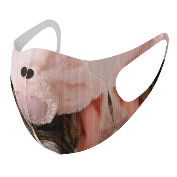 }XN 2Zbg fUC 􂦂 |GXe Y fB[X j  ǂ WjA c Aw @u^@ 001228