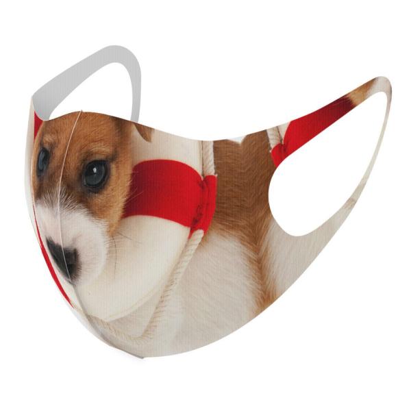 }XN 2Zbg fUC 􂦂 |GXe Y fB[X j  ǂ WjA c Aw @ 001242