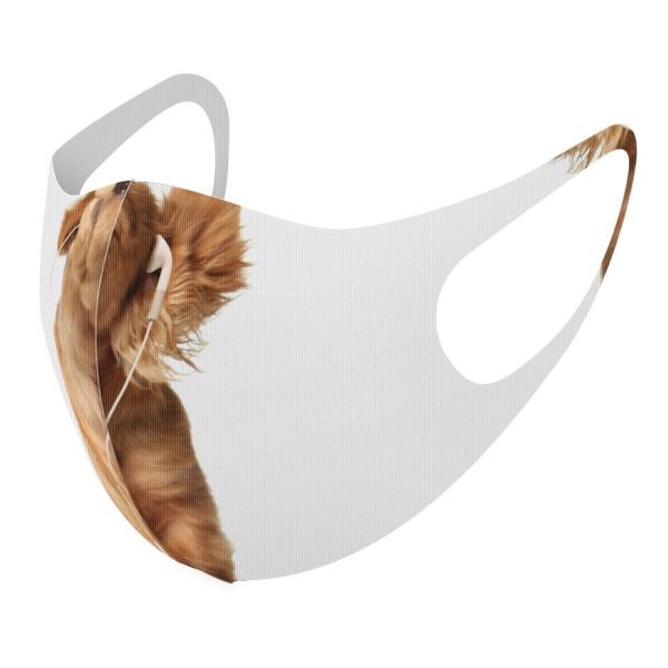 }XN 2Zbg fUC 􂦂 |GXe Y fB[X j  ǂ WjA c Aw @_bNXtg@ 001245