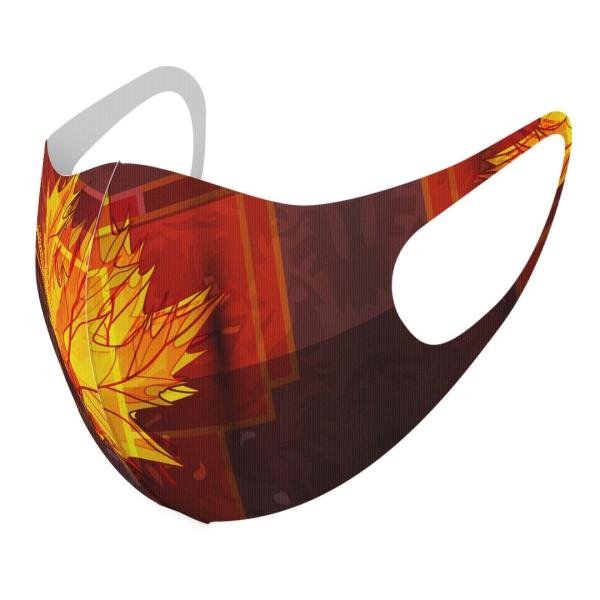 }XN 2Zbg fUC 􂦂 |GXe Y fB[X j  ǂ WjA c Aw gt@H 001253