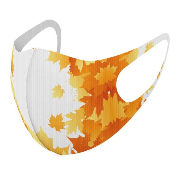 }XN 2Zbg fUC 􂦂 |GXe Y fB[X j  ǂ WjA c Aw gt@H 001284