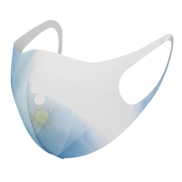 }XN 2Zbg fUC 􂦂 |GXe Y fB[X j  ǂ WjA c Aw ԁ@t[@ 001781