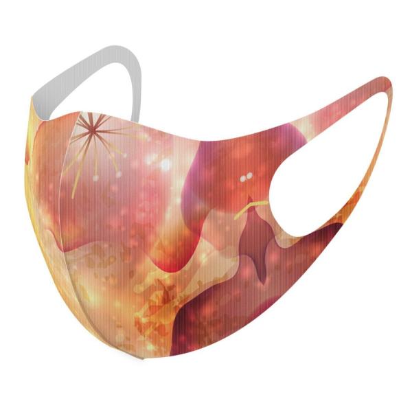 }XN 2Zbg fUC 􂦂 |GXe Y fB[X j  ǂ WjA c Aw ԁ@t[@sN 001928