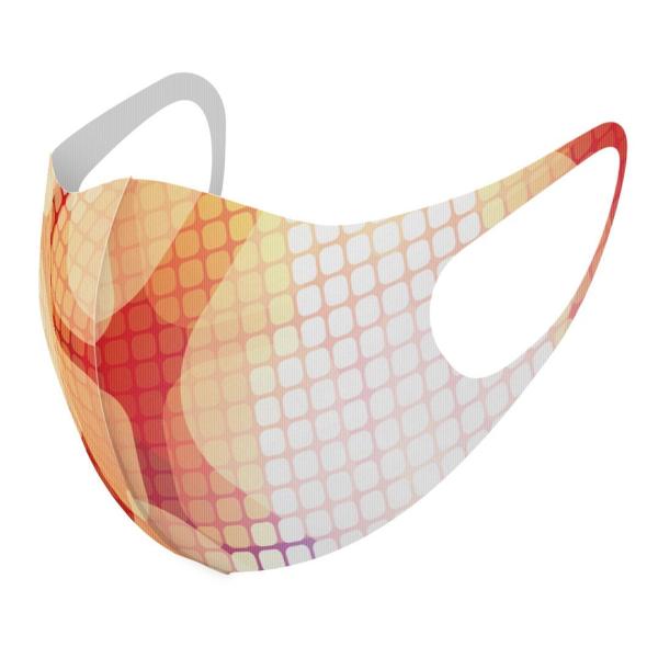 }XN 2Zbg fUC 􂦂 |GXe Y fB[X j  ǂ WjA c Aw ͗l@IW 001963