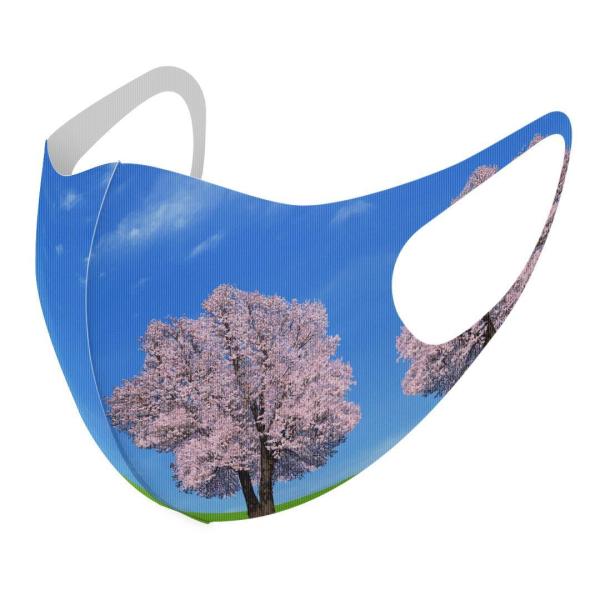 }XN 2Zbg fUC 􂦂 |GXe Y fB[X j  ǂ WjA c Aw iF@i@ 002466