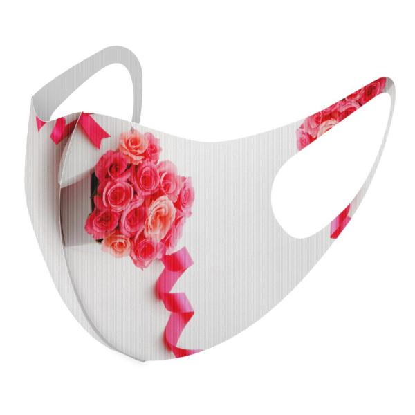 }XN 2Zbg fUC 􂦂 |GXe Y fB[X j  ǂ WjA c Aw n[g@ԁ@{ 002474