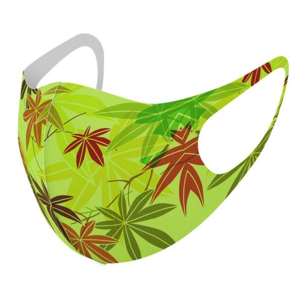 }XN 2Zbg fUC 􂦂 |GXe Y fB[X j  ǂ WjA c Aw gt@CXg@ 002477