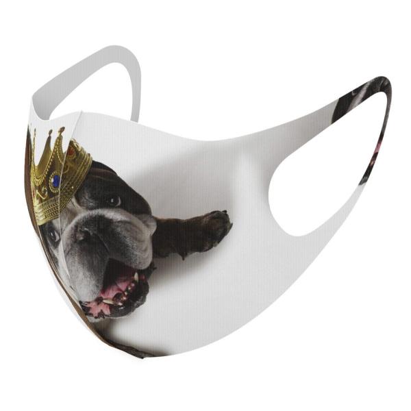 }XN 2Zbg fUC 􂦂 |GXe Y fB[X j  ǂ WjA c Aw @@ʐ^ 002573