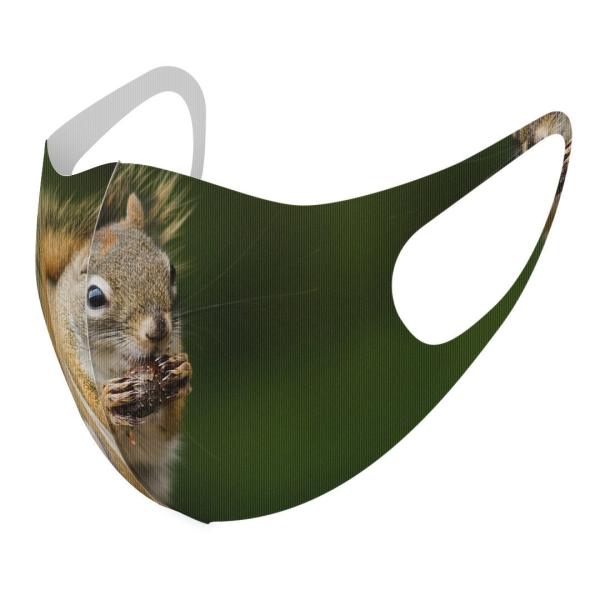 }XN 2Zbg fUC 􂦂 |GXe Y fB[X j  ǂ WjA c Aw Vv@@ 002575