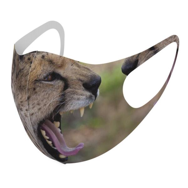 }XN 2Zbg fUC 􂦂 |GXe Y fB[X j  ǂ WjA c Aw @ʐ^@^ 002582