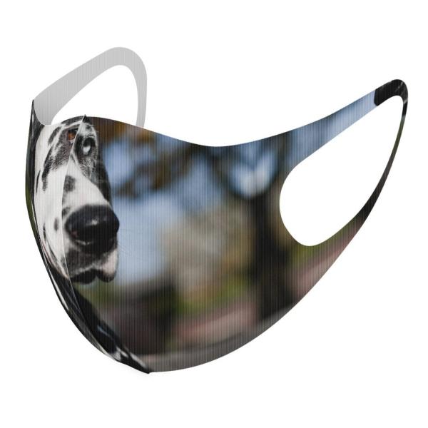 }XN 2Zbg fUC 􂦂 |GXe Y fB[X j  ǂ WjA c Aw @@ʐ^ 002587