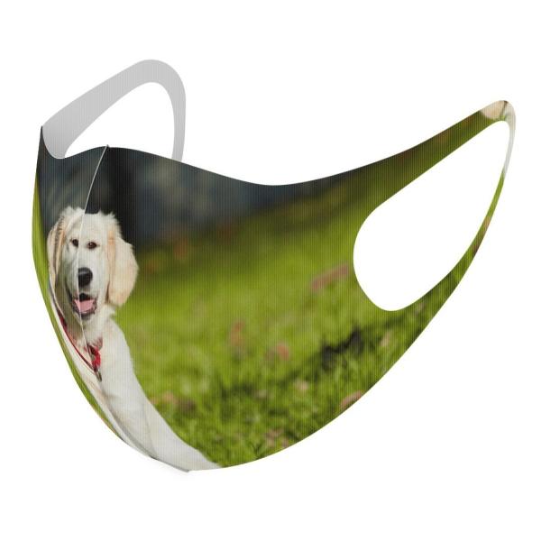 }XN 2Zbg fUC 􂦂 |GXe Y fB[X j  ǂ WjA c Aw @@ʐ^ 002665