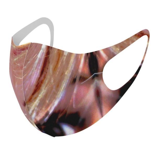 }XN 2Zbg fUC 􂦂 |GXe Y fB[X j  ǂ WjA c Aw l@CXg 002739