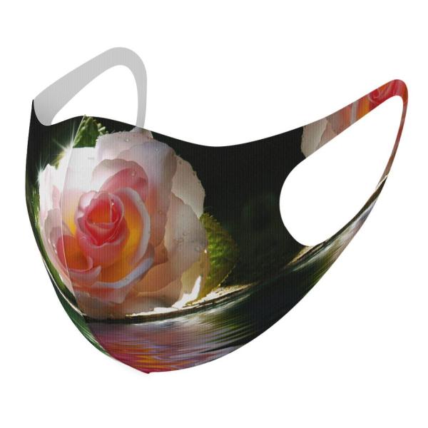 }XN 2Zbg fUC 􂦂 |GXe Y fB[X j  ǂ WjA c Aw ԁ@ʐ^@ 002746