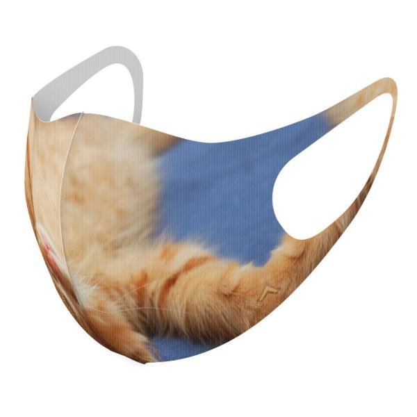 }XN 2Zbg fUC 􂦂 |GXe Y fB[X j  ǂ WjA c Aw L@@ʐ^ 002759