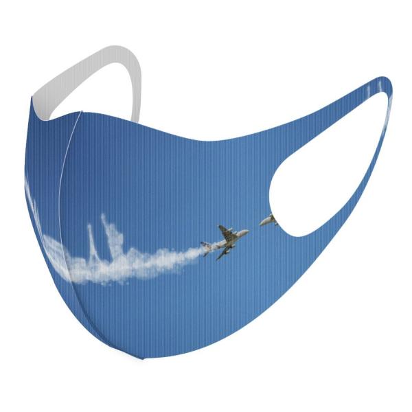 }XN 2Zbg fUC 􂦂 |GXe Y fB[X j  ǂ WjA c Aw @蕨@s@ 002768