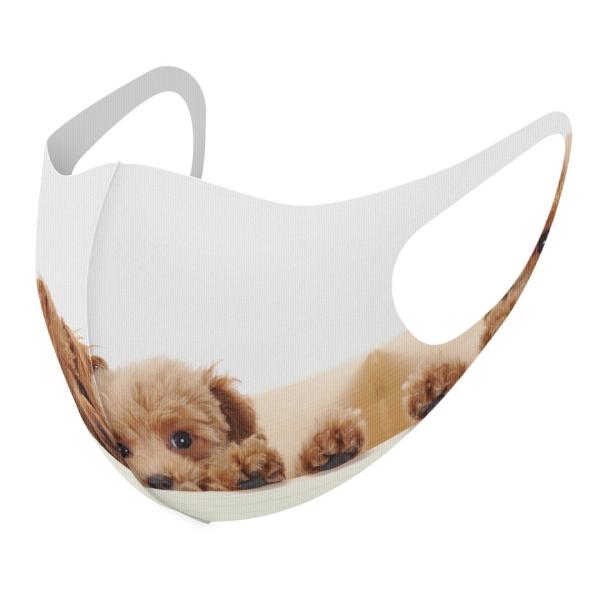 }XN 2Zbg fUC 􂦂 |GXe Y fB[X j  ǂ WjA c Aw @@ʐ^ 002770