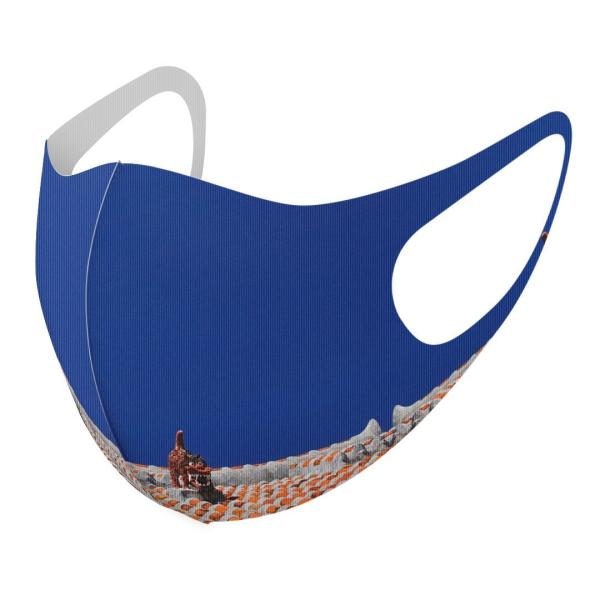 }XN 2Zbg fUC 􂦂 |GXe Y fB[X j  ǂ WjA c Aw @V[T[@ʐ^ 002774