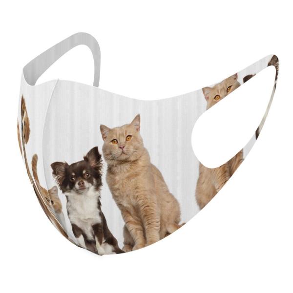 }XN 2Zbg fUC 􂦂 |GXe Y fB[X j  ǂ WjA c Aw @L@@ʐ^ 002789