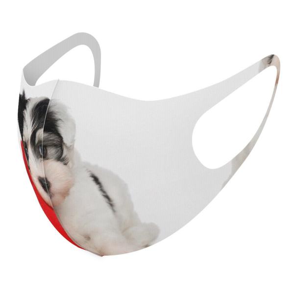 }XN 2Zbg fUC 􂦂 |GXe Y fB[X j  ǂ WjA c Aw @@ʐ^ 002793