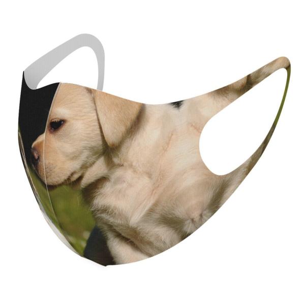 }XN 2Zbg fUC 􂦂 |GXe Y fB[X j  ǂ WjA c Aw @L@@ʐ^ 002794