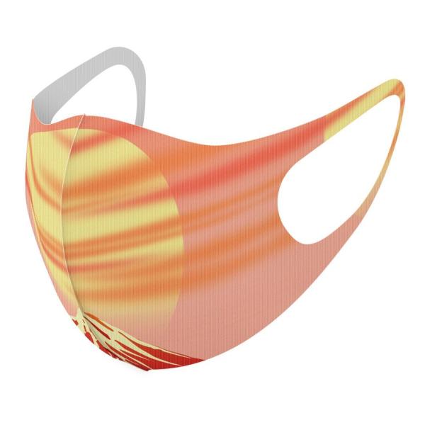 }XN 2Zbg fUC 􂦂 |GXe Y fB[X j  ǂ WjA c Aw a@a@R 002799