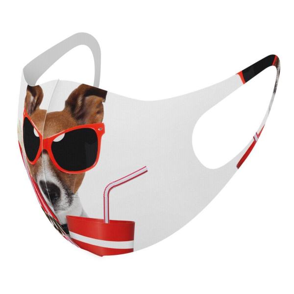 }XN 2Zbg fUC 􂦂 |GXe Y fB[X j  ǂ WjA c Aw @@ʐ^ 002816