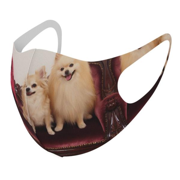 }XN 2Zbg fUC 􂦂 |GXe Y fB[X j  ǂ WjA c Aw @@ʐ^ 002913