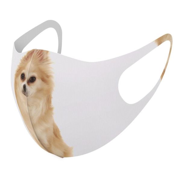 }XN 2Zbg fUC 􂦂 |GXe Y fB[X j  ǂ WjA c Aw @@ʐ^ 002914