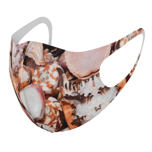 }XN 2Zbg fUC 􂦂 |GXe Y fB[X j  ǂ WjA c Aw C@Lk@ʐ^ 002925