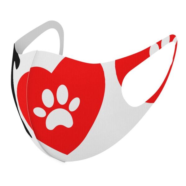 }XN 2Zbg fUC 􂦂 |GXe Y fB[X j  ǂ WjA c Aw @p@n[g 002992