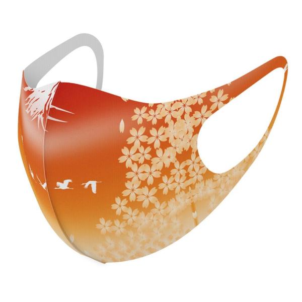 }XN 2Zbg fUC 􂦂 |GXe Y fB[X j  ǂ WjA c Aw a@a@iF 003170