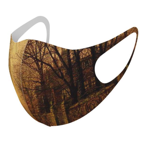 }XN 2Zbg fUC 􂦂 |GXe Y fB[X j  ǂ WjA c Aw iF@i@G@CXg 003224