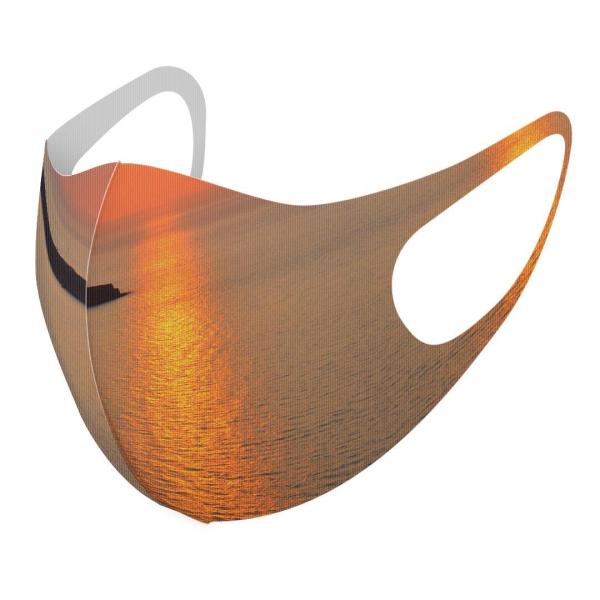 }XN 2Zbg fUC 􂦂 |GXe Y fB[X j  ǂ WjA c Aw C@ʐ^@iF@i 003276