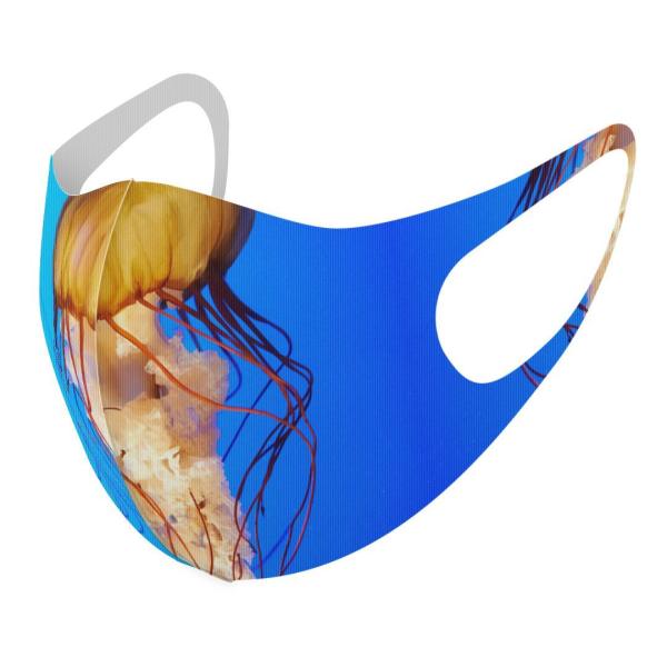 }XN 2Zbg fUC 􂦂 |GXe Y fB[X j  ǂ WjA c Aw 炰@C@ʐ^ 003338