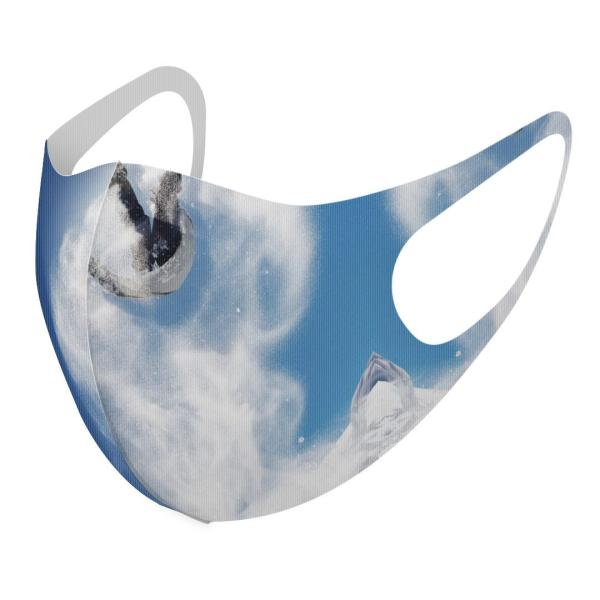 }XN 2Zbg fUC 􂦂 |GXe Y fB[X j  ǂ WjA c Aw X|[c@@ʐ^ 003388