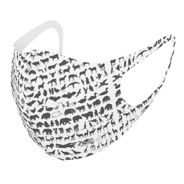 }XN 2Zbg fUC 􂦂 |GXe Y fB[X j  ǂ WjA c Aw @@ 003490